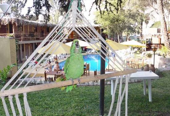 Oasis of America Huacachina