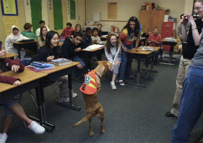 The World United Learn From the Dog