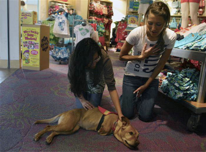 The World United Learn From the Dog