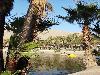 Oasis of America Huacachina
