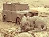 Sand Art