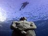 World Largest Underwater Museum Mexico