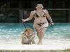 Swimming with Tigers
