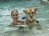 Swimming with Tigers