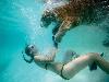Swimming with Tigers
