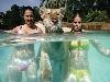 Swimming with Tigers