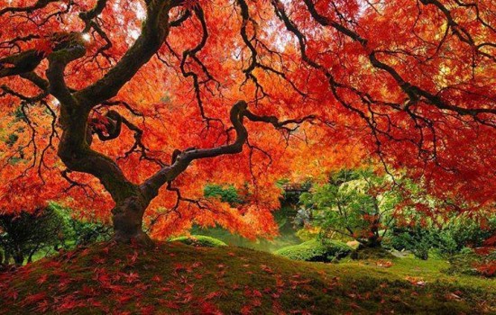 Amazing Autumn Photography Amazing autumn pictures Amazing  pictures of autumn