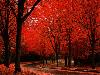 Amazing Autumn Photography Amazing autumn pictures Amazing  pictures of autumn