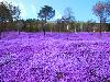 22 Unbelievable Places that are Hard to Believe Really Exist