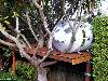 Top 9 Beautiful Treehouses in the world