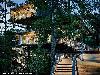 Top 9 Beautiful Treehouses in the world