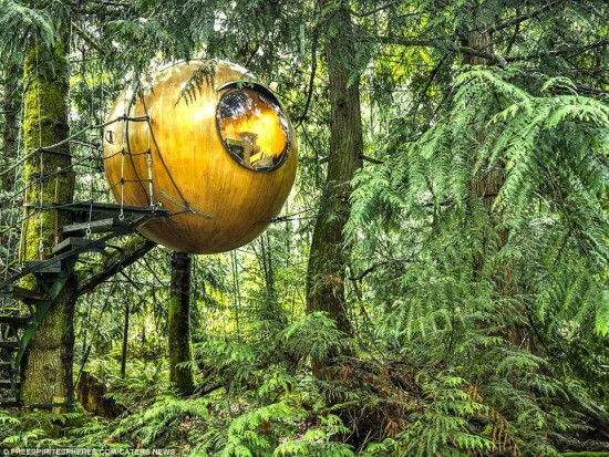 Top 9 Beautiful Treehouses in the world