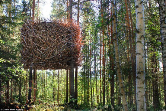 Top 9 Beautiful Treehouses in the world