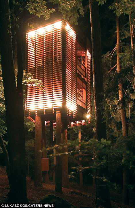 Top 9 Beautiful Treehouses in the world