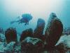 19 Creepy Things Discovered Lying In The Ocean