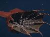 19 Creepy Things Discovered Lying In The Ocean