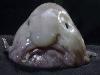 19 Creepy Things Discovered Lying In The Ocean