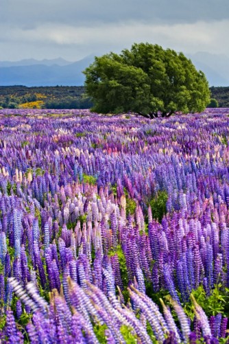 The 22 Most Beautiful Places In The World
