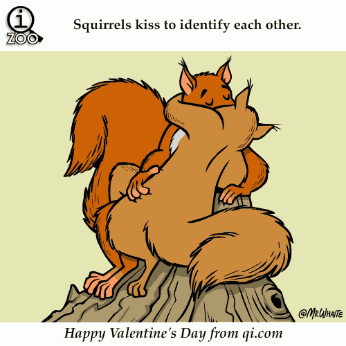 Animal Facts in Funny Animations
