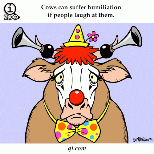 Animal Facts in Funny Animations