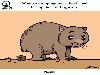 Animal Facts in Funny Animations