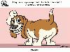 Animal Facts in Funny Animations