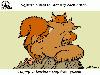 Animal Facts in Funny Animations