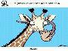 Animal Facts in Funny Animations