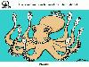 Animal Facts in Funny Animations