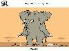 Animal Facts in Funny Animations