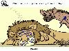 Animal Facts in Funny Animations