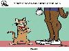 Animal Facts in Funny Animations