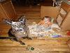 Funny kids pictures