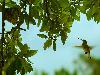 Best Nests to Rest