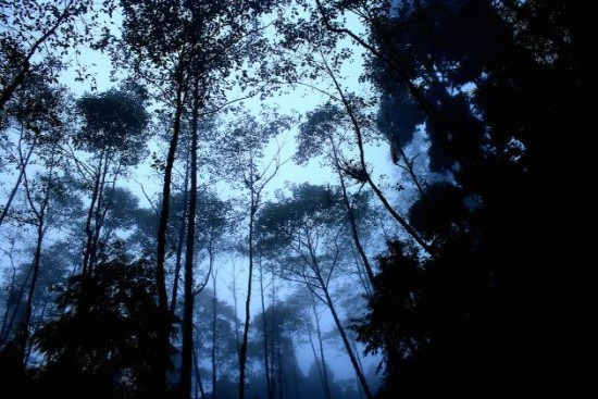 10 little-known destinations in West Bengal