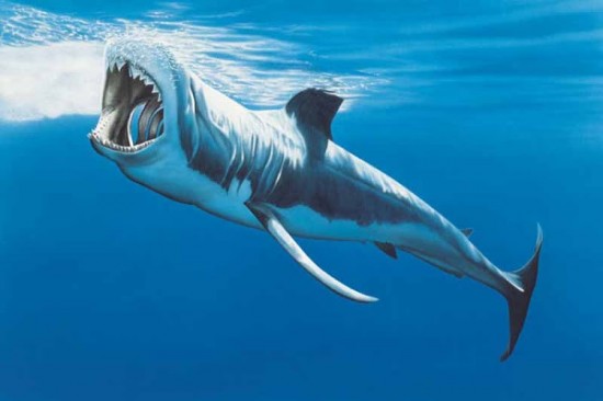 11 Animal Godfathers into Underwater