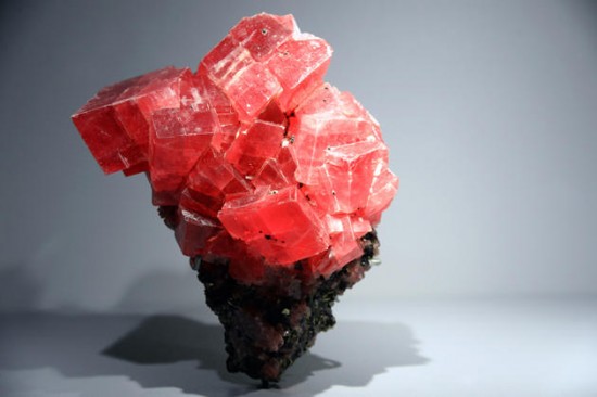 Earth's treasures go on show in Paris