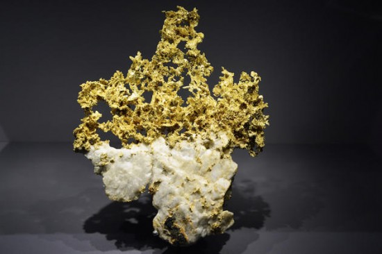 Earth's treasures go on show in Paris