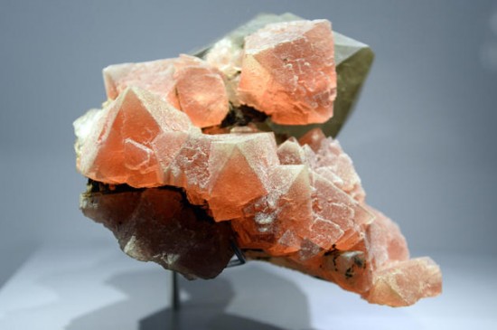 Earth's treasures go on show in Paris