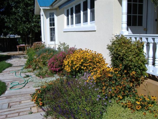 It Looks Like Your Typical Family Home. But Once You See The Backyard, You'll Think Twice