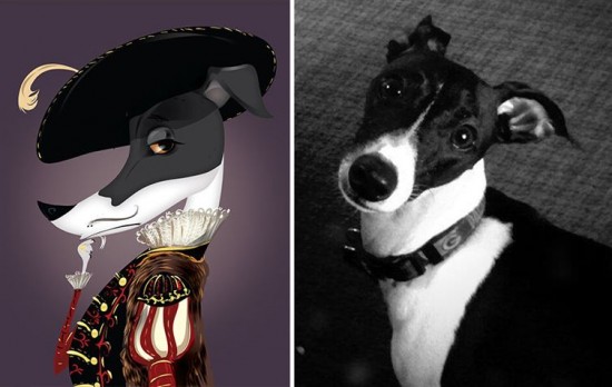 This Artist Perfectly Illustrates Pets Based On Their Personalities