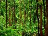 10 little-known destinations in West Bengal