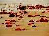 10 little-known destinations in West Bengal
