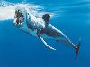 11 Animal Godfathers into Underwater