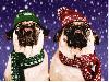 12 Cheerfully Chubby Christmas Ready Pugs