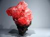 Earth's treasures go on show in Paris