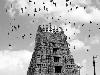 Magnificent Belur - Poetry in soapstone