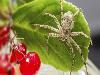 The nine most dangerous animals you're likely to encounter on holiday
