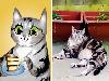 This Artist Perfectly Illustrates Pets Based On Their Personalities