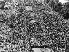 Rare Images From Mahatma's Funeral